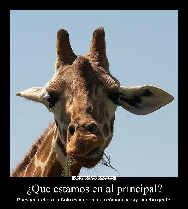 ¿Que estamos en al principal? -