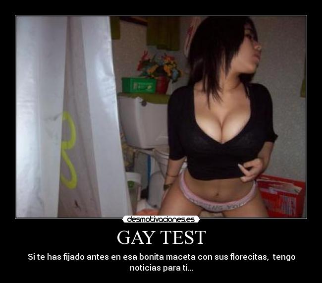 GAY TEST - Si te has fijado antes en esa bonita maceta con sus florecitas,  tengo noticias para ti...