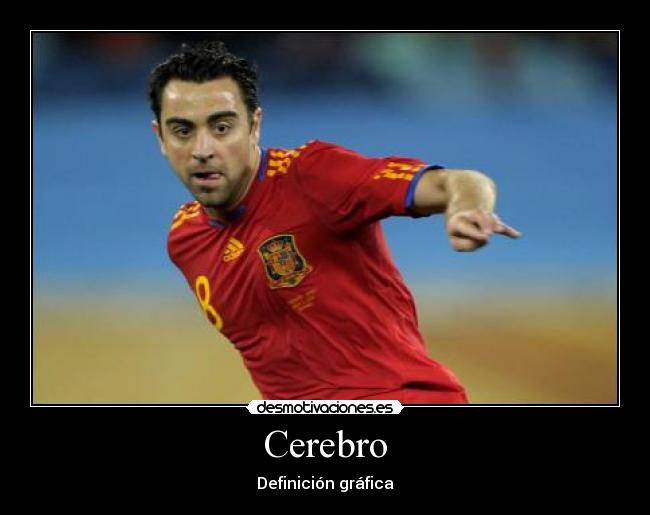 Cerebro - 