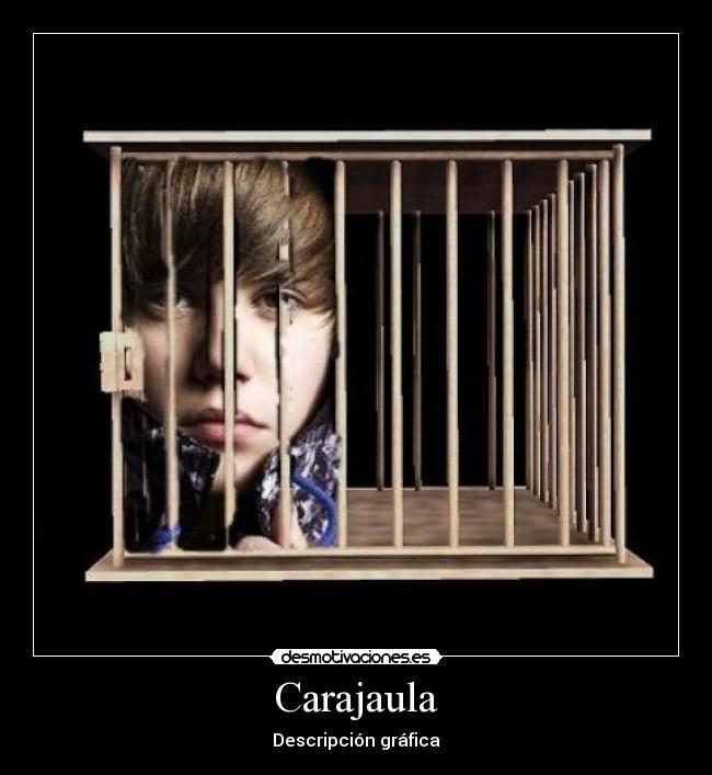 Carajaula - Descripción gráfica