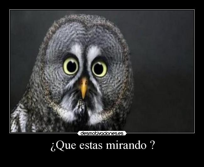 ¿Que estas mirando ? -