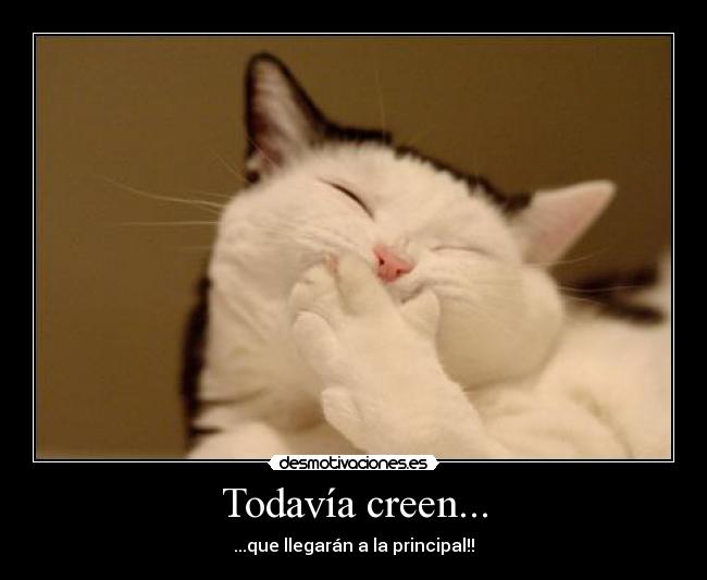 carteles desmotivaciones desmotivacion gato desmotivaciones