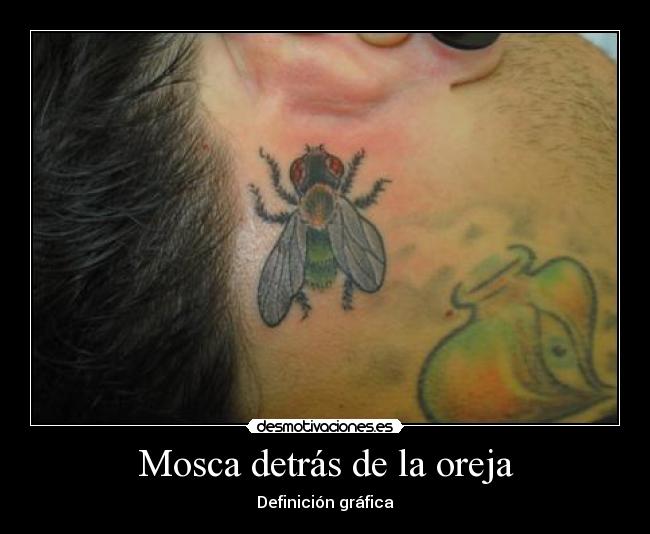 Mosca detrás de la oreja - Definición gráfica