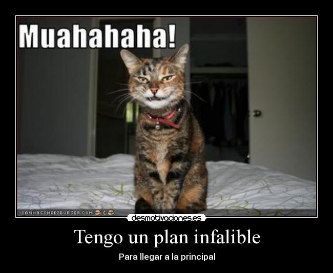 Tengo un plan infalible - 