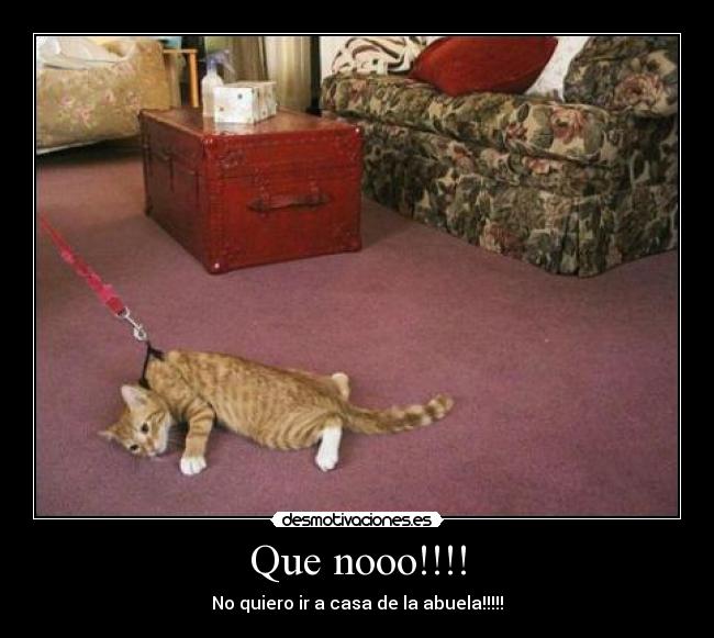 Que nooo!!!! -