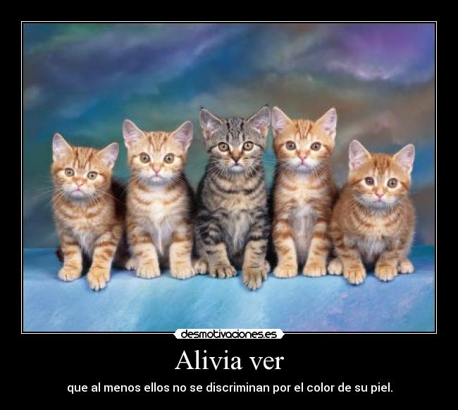Alivia ver - que al menos ellos no se discriminan por el color de su piel.