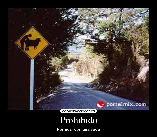 Prohibido - 