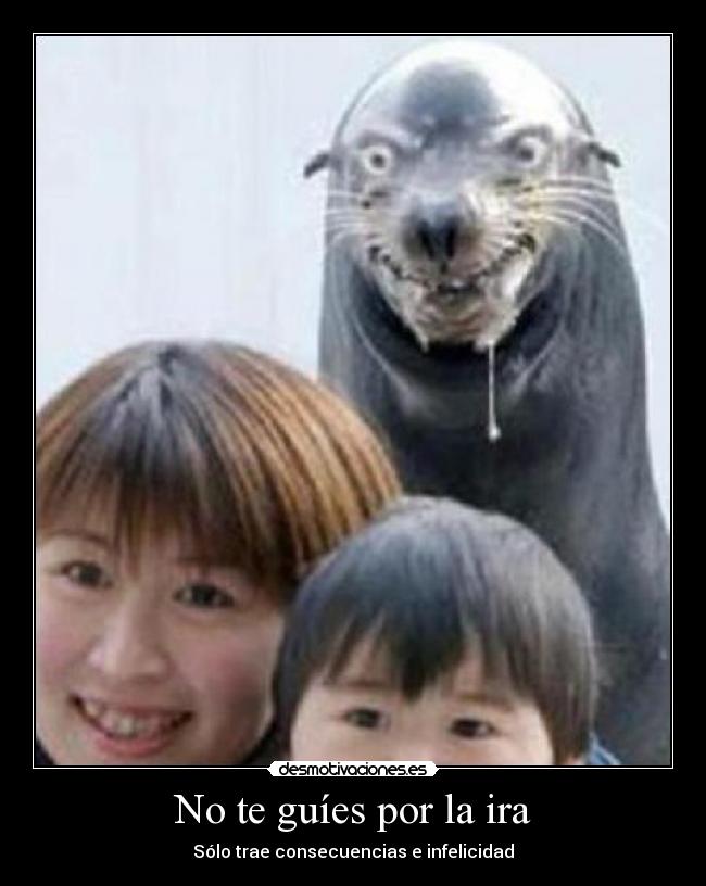 carteles no te guies por la ira solo trae consecuencias infelicidad desmotivaciones
