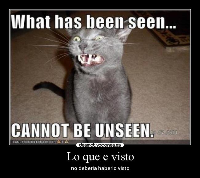 Lo que e visto - no deberia haberlo visto