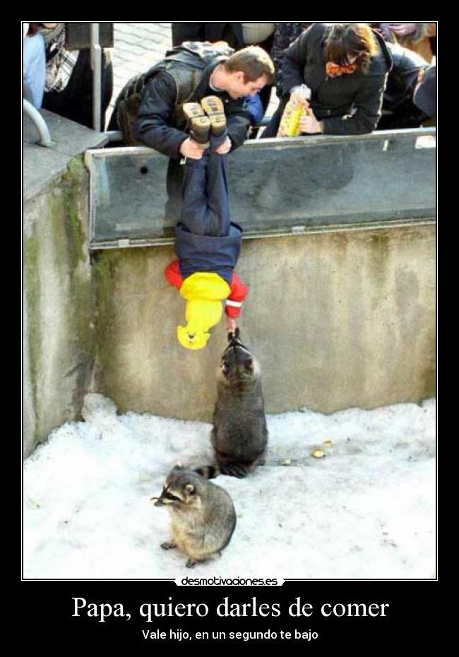 Papa, quiero darles de comer - Vale hijo, en un segundo te bajo