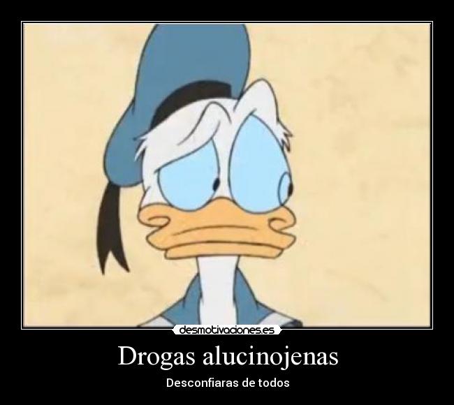 Drogas alucinojenas - 
