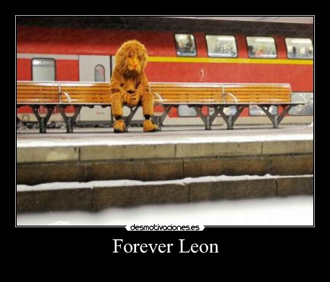 Forever Leon - 