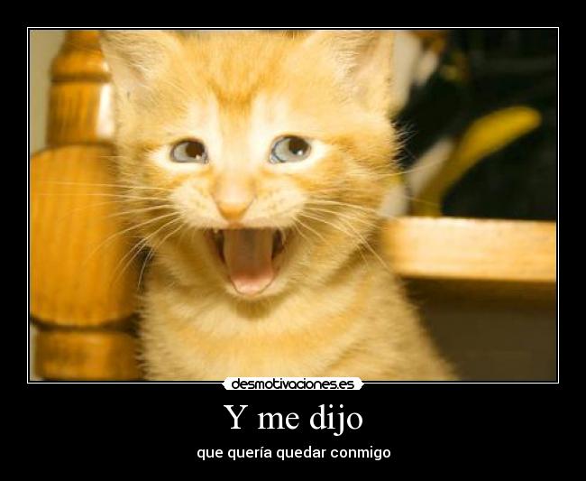 Y me dijo - que quería quedar conmigo