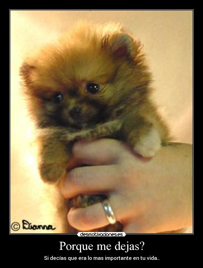 Porque me dejas? - Si decías que era lo mas importante en tu vida..