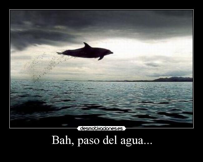 carteles delfin volando desmotivaciones