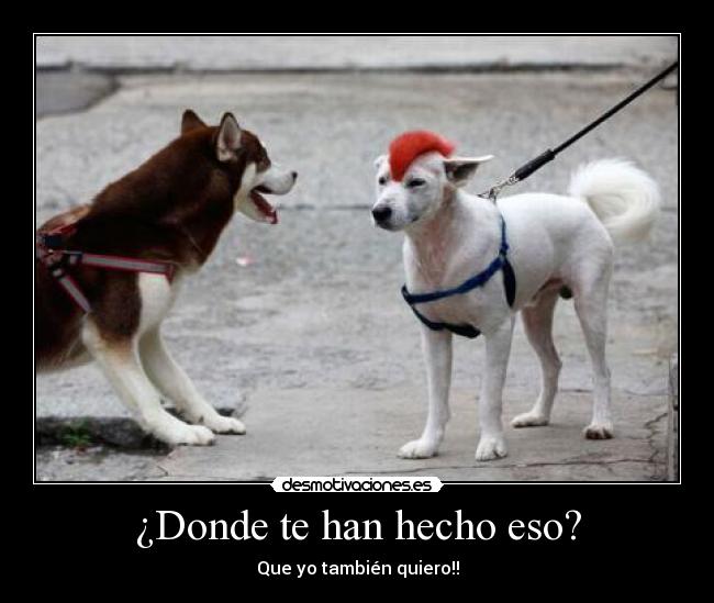 carteles desmotivaciones