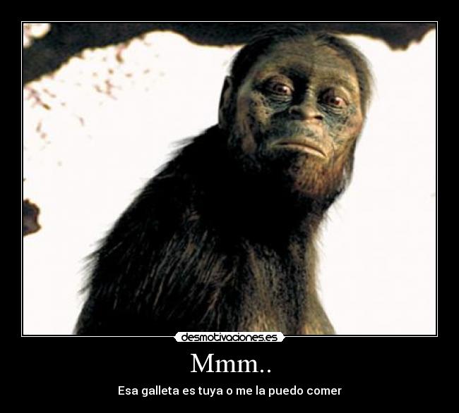 Mmm.. - Esa galleta es tuya o me la puedo comer