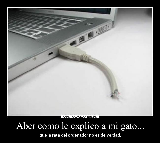Aber como le explico a mi gato... -