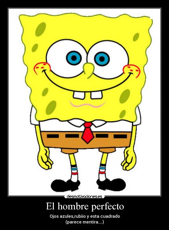 El hombre perfecto -