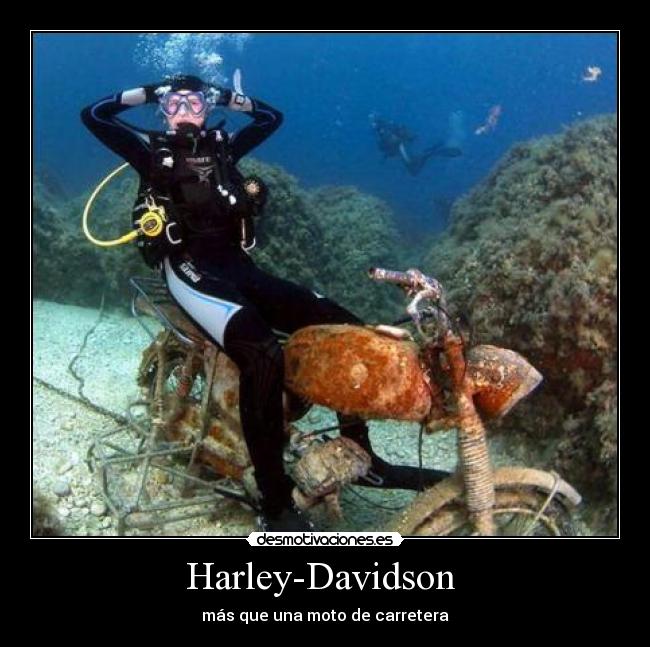 carteles harley-davidson desmotivaciones