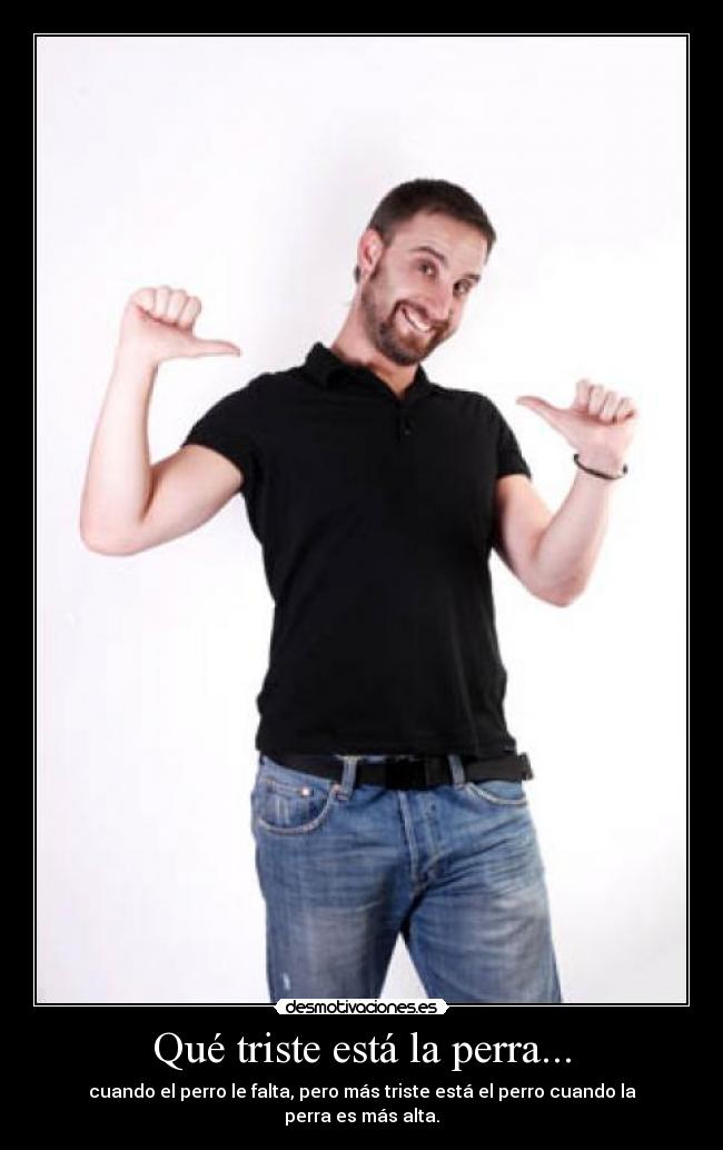 Qué triste está la perra... -