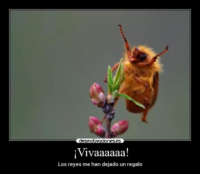 ¡Vivaaaaaa! - 