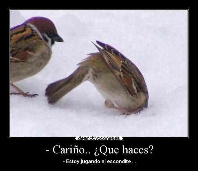 - Cariño.. ¿Que haces? -