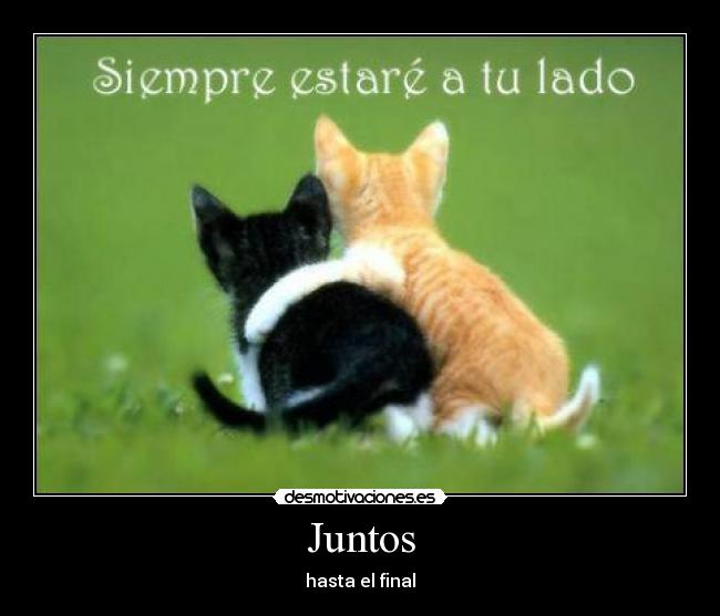 Juntos - 