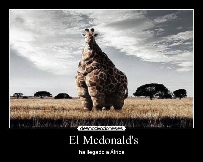  El Mcdonalds - ha llegado a África