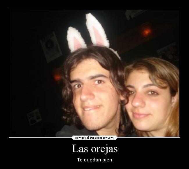 Las orejas - 