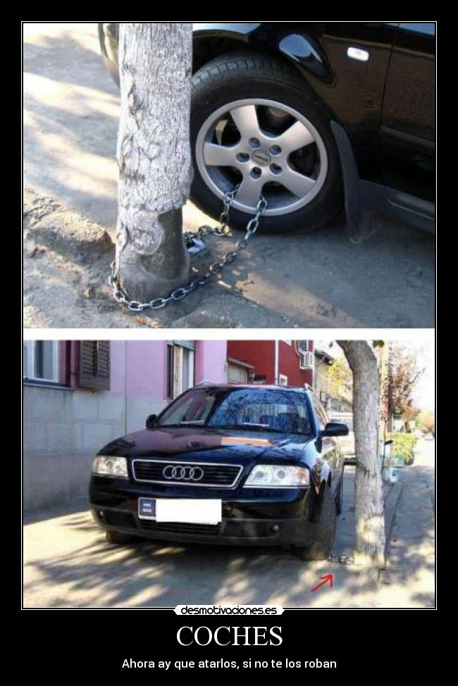 COCHES - Ahora ay que atarlos, si no te los roban
