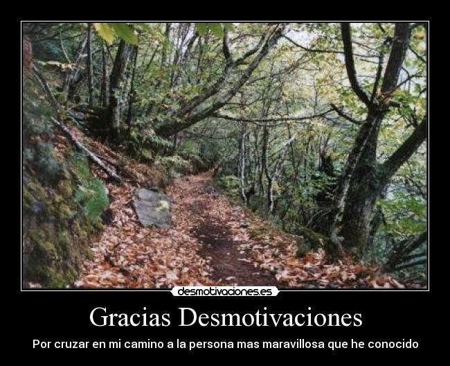 Gracias Desmotivaciones -