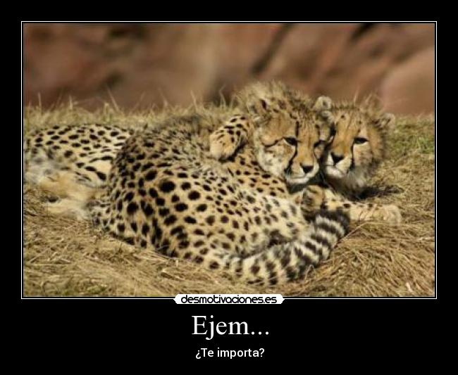 Ejem... - 