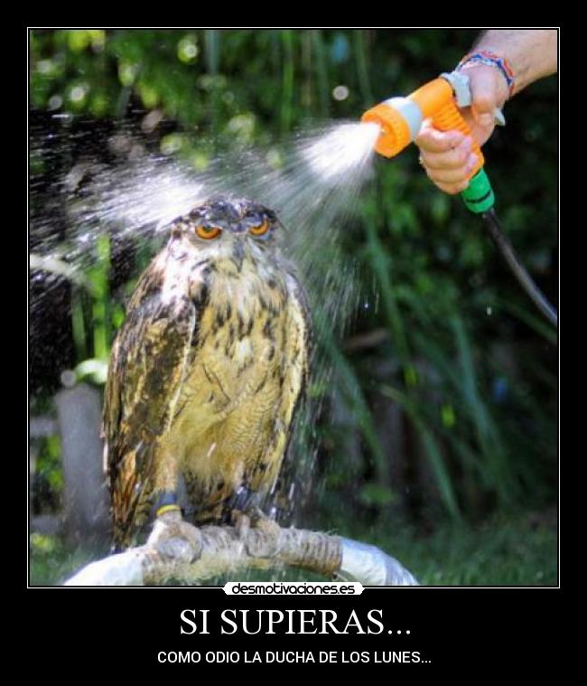 SI SUPIERAS... - 