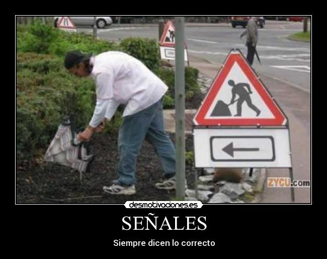 SEÑALES - Siempre dicen lo correcto