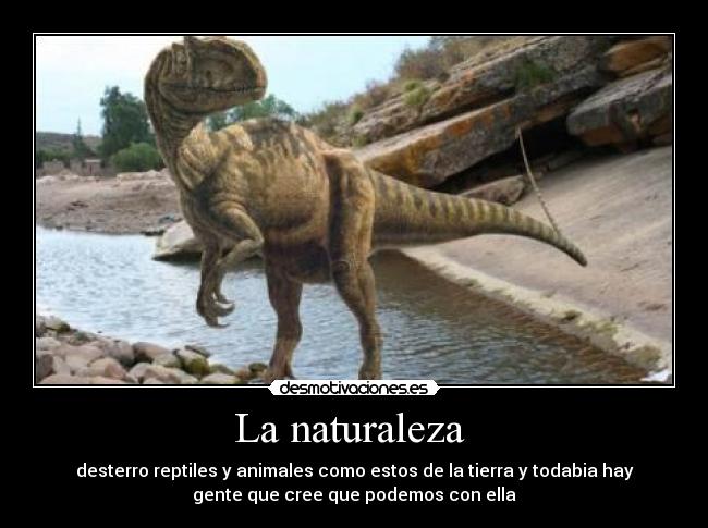 La naturaleza - desterro reptiles y animales como estos de la tierra y todabia hay
gente que cree que podemos con ella