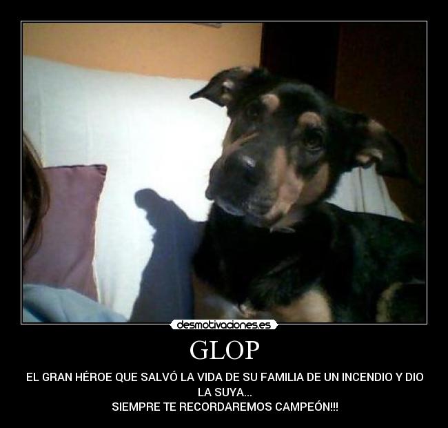 GLOP -