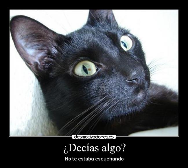 ¿Decías algo? - 