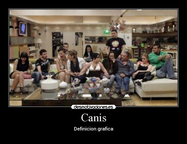 Canis - Definicion grafica