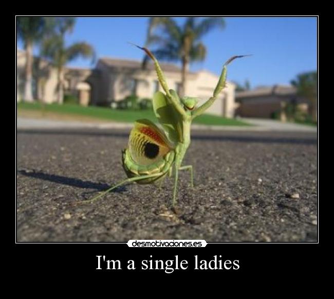 Im a single ladies - 