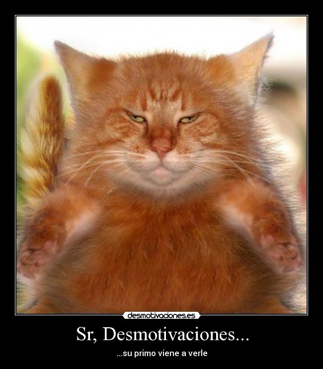 Sr, Desmotivaciones... - ...su primo viene a verle