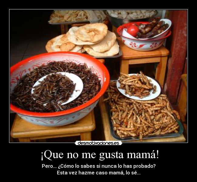 ¡Que no me gusta mamá! - 