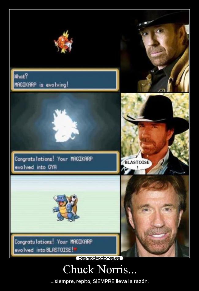 Chuck Norris... - ...siempre, repito, SIEMPRE lleva la razón.