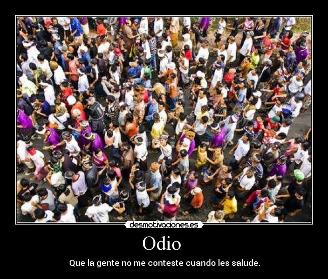 Odio  - 