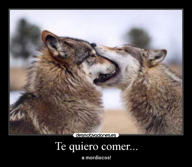 Te quiero comer... - a mordiscos!