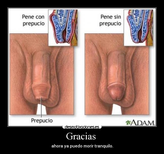 Gracias  - 