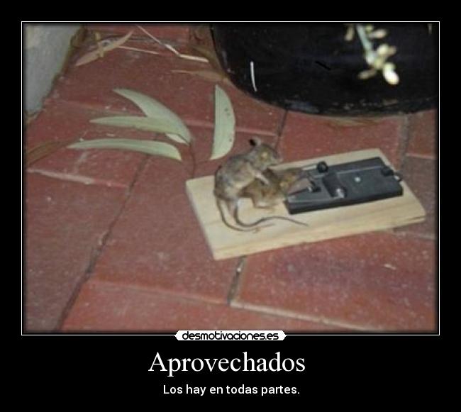 Aprovechados - Los hay en todas partes.