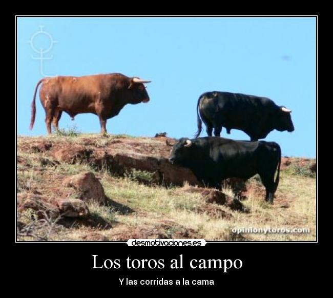 Los toros al campo -