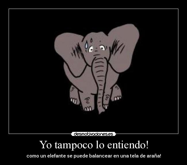 Yo tampoco lo entiendo! -