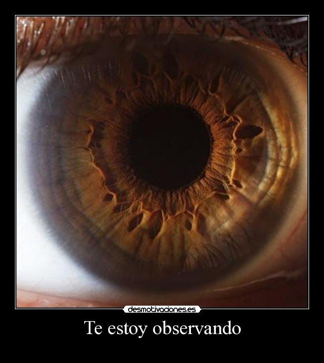 carteles desmotivaciones